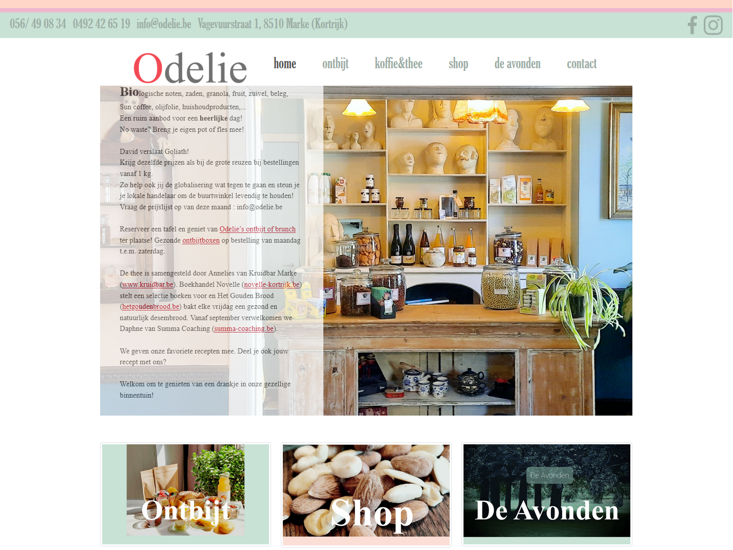 Realisatie website Odelie